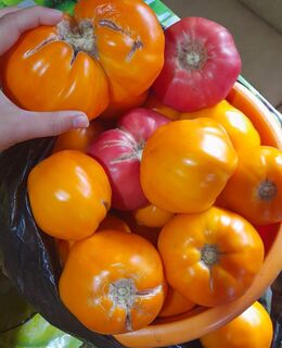 Серкан — фото 1