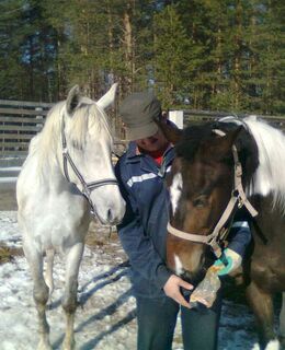 Василий — фото 2